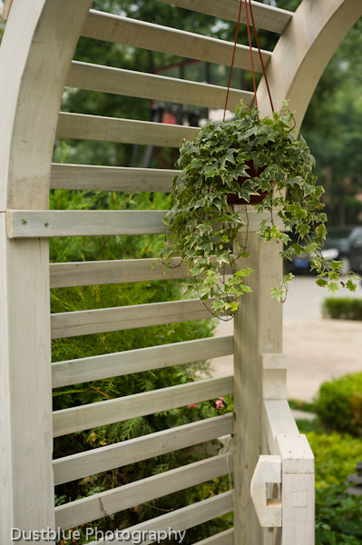 家(jiā)庭綠(lǜ)化(huà)