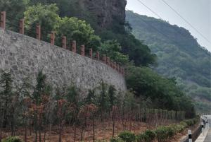 林(lín)州市(shì)“黃(huáng)金(jīn)通(tōng)道(dào)”項目1