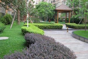 陝西(xī)小(xiǎo)區(qū)綠(lǜ)化(huà)