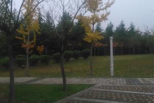 鄭東(dōng)新區(qū)綠(lǜ)化(huà)項目