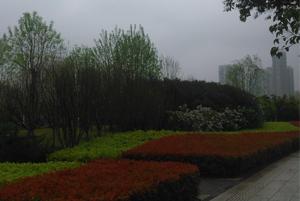 鄭東(dōng)新區(qū)綠(lǜ)化(huà)項目