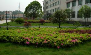 廠(chǎng)區(qū)綠(lǜ)化(huà)