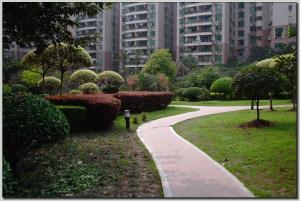 小(xiǎo)區(qū)綠(lǜ)化(huà)1