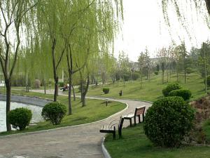 公園綠(lǜ)化(huà)2