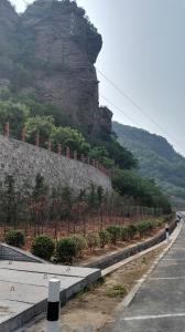 林(lín)州市(shì)“黃(huáng)金(jīn)通(tōng)道(dào)”項目1