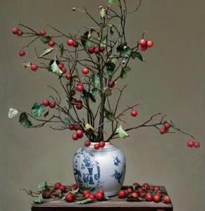 山(shān)楂盆栽2